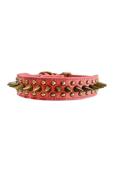 Dogs Of Glamour Greg Spiked Collar In Rose