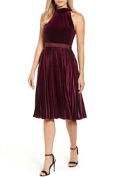 Ted Baker Cornela Pleated Velvet Dress In Oxblood