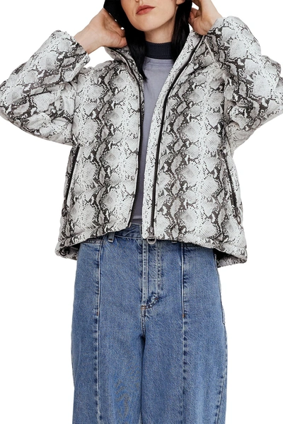 Noize Jozy Snake Print Midweight Jacket In White Python