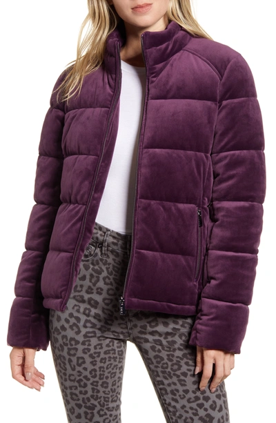 Andrew Marc Velvet Puffer Jacket In Spcd Plum