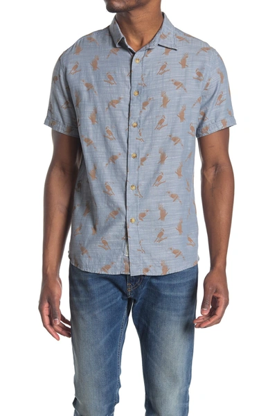 Grayers Toucan Print Regular Fit Shirt In Blue Mirage Print