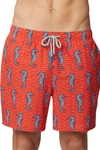 Rainforest Curled Tails Seahorse Stretch Swim Trunks In Spicy Orange