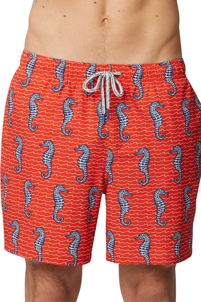 Rainforest Curled Tails Seahorse Stretch Swim Trunks In Spicy Orange