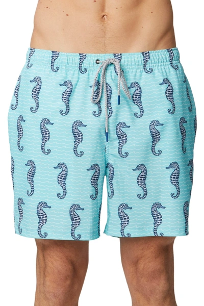 Rainforest Curled Tails Seahorse Stretch Swim Trunks In Aruba Blue