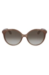 Chloé 58mm Gradient Cat Eye Sunglasses In Nude