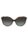 Chloé 58mm Gradient Cat Eye Sunglasses In Havana