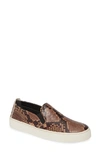 The Flexx 'sneak Name' Sneaker In Dark Brown Leather