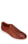 Gentle Souls By Kenneth Cole Gentle Souls Ryder Lace Up Sneakers In Cognac