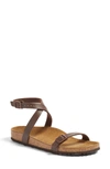 Birkenstock Daloa Ankle Strap Sandal In Brown