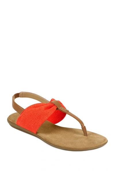 Aerosoles Cortland T-strap Sandal In Orange Combo