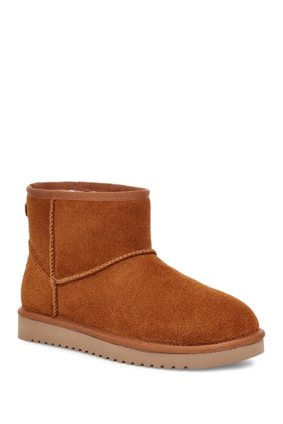 Koolaburra By Ugg Women's Koola Mini Ii Booties In Chestnut