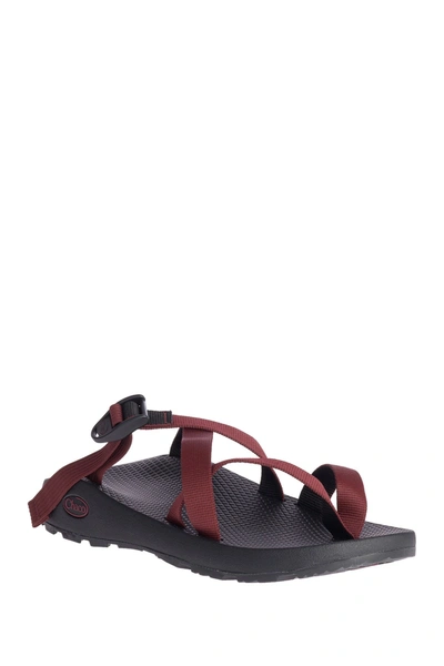 Chaco Tegu Sandal In Solid Port