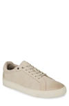 Allsaints Stow Low Top Sneaker In Chalk