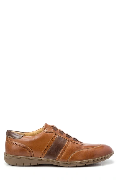 Sandro Moscoloni Noah Slip-on Sneaker In Tan