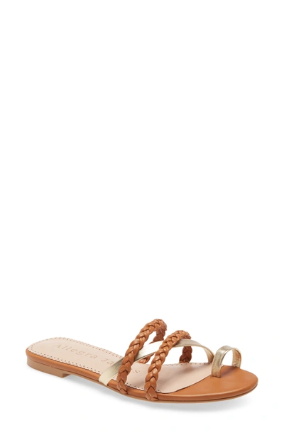 Allegra James Lucy Bicolor Flat Slide Sandals In Brown