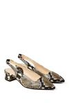 EVERLANE THE EDITOR SLINGBACK HEEL,000000528870