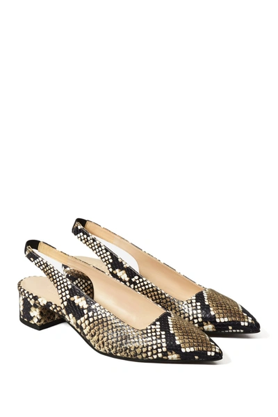 Everlane The Editor Slingback Heel In Black White ModeSens
