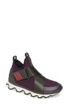 Sorel Kinetic High Top Sneaker In Dark Plum