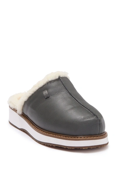 Australia Luxe Collective Genuine Shearling Lined Leather Mule In Smoke