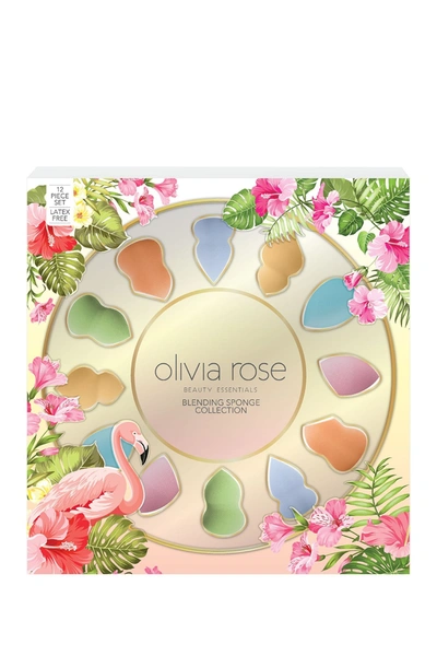 Aduro Olivia Rose12-piece Blending Sponge Collection In Tropical