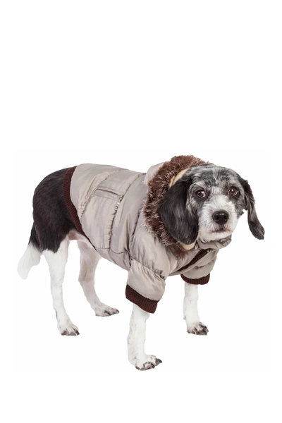 Petkit Metallic Fashion Pet Parka Coat In Metallic Grey