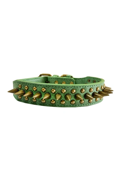 Dogs Of Glamour Greg Spiked Collar In Green