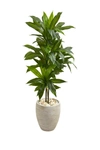NEARLY NATURAL NEARLY NATURAL 4FT. DRACAENA ARTIFICIAL PLANT,840703161826