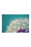 Marmont Hill Inc. Dandelion Puffs Painting Print On Wrapped Canvas In Multi