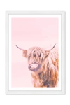 WYNWOOD STUDIO A HIGHLAND COW PINK ANIMALS FRAMED WALL ART,011704550937