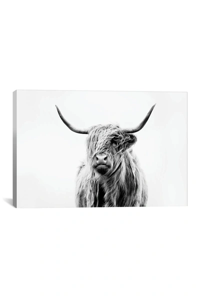 Icanvas Portrait Of A Highland Cow By Dorit Fuhg Wall Art In Multi