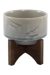 FLORA BUNDA 4" CONSTELLATION CERAMIC POT ON WOOD STAND,803284021378