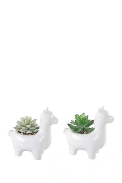 Flora Bunda Set Of Two 5.5in White Ceramic Llama With Succulent