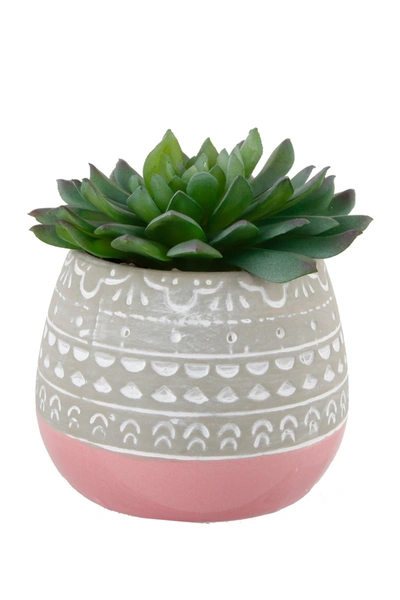 Flora Bunda Pink Succulent Mayan Ceramic Pot