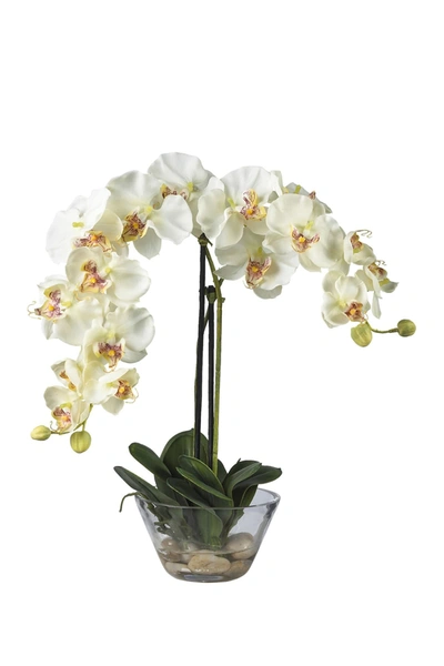 Nearly Natural Phalaenopsis With Glass Vase Silk Flower Arrangement In White