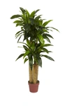 Nearly Natural 4ft. Corn Stalk Dracaena Silk Plant In Green