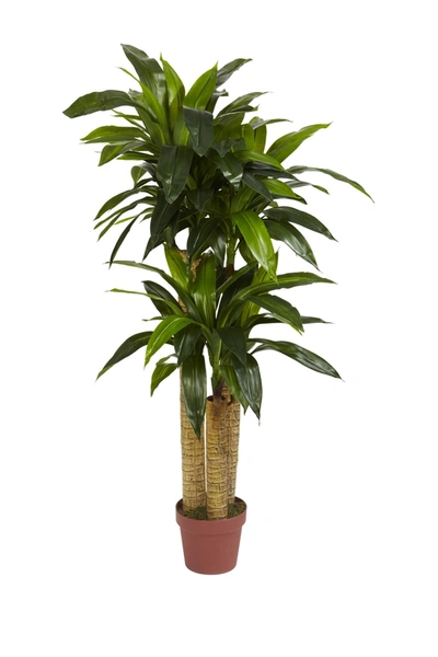 Nearly Natural 4ft. Corn Stalk Dracaena Silk Plant In Green