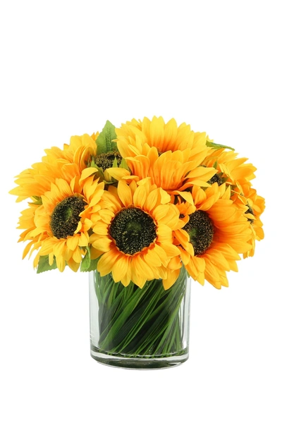 Venus Williams Sunflowers In Yellow