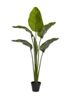 Nearly Natural 63in Travelers Palm Tree Uv Resistant In Green