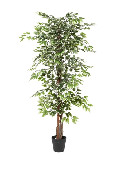Venus Williams Ficus Tree Artificial 75" Decorative Foliage In Multi
