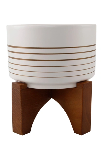 Flora Bunda White/gold 7" Ceramic Lines Pot On Wood Stand