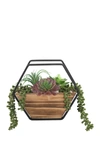 Flora Bunda Succulent Wall Pocket In Brown