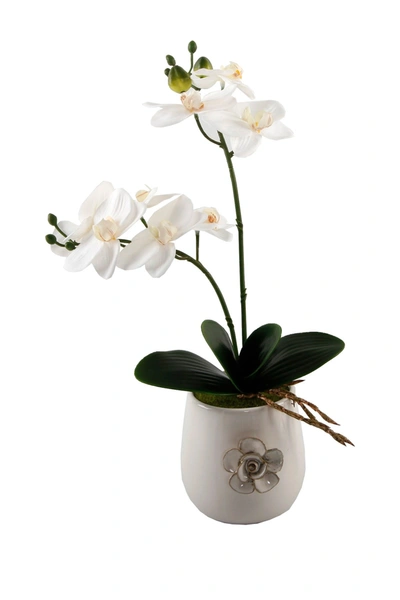 Flora Bunda 15" Real-touch Orchid In White