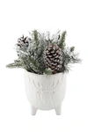 Flora Bunda Xmas Mix In 6" Stag Head Ceramic Footed Pot In White