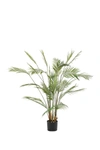 VENUS WILLIAMS ARTIFICIAL KWAI MUK PLANT 53" DECORATIVE FOLIAGE, GREEN,758647882854