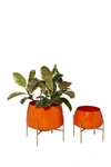 VENUS WILLIAMS ORANGE METAL MODERN PLANTER WITH REMOVABLE STAND,758647519750