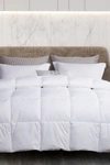 BLUE RIDGE HOME FASHIONS MARTHA STEWART 240 THREAD COUNT WHITE GOOSE FEATHER & DOWN COMFORTER,788904005320