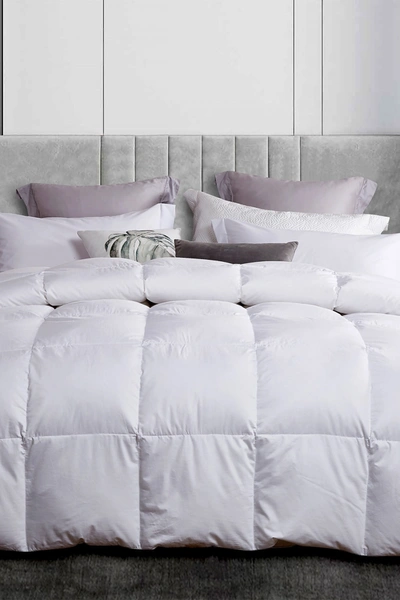 Blue Ridge Home Fashions Martha Stewart 300 Thread Count White Down Comforter