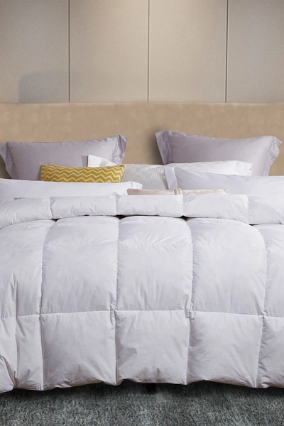 Blue Ridge Home Fashions Martha Stewart 240 Thread Count White Feather & Down Comforter