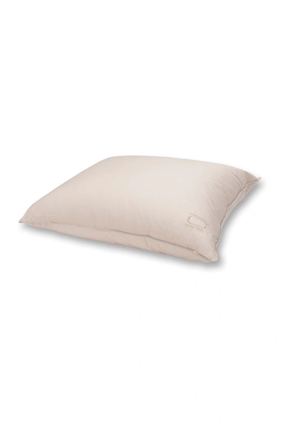 Allied Home Nikki Chu Queen Cotton White Down Pillow With Removable Cover In Beige