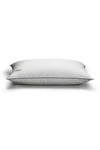Pillow Guy Standard/queen White Down Side & Back Sleeper Overstuffed Pillow Certified Rds In White With Navy-teal Cord